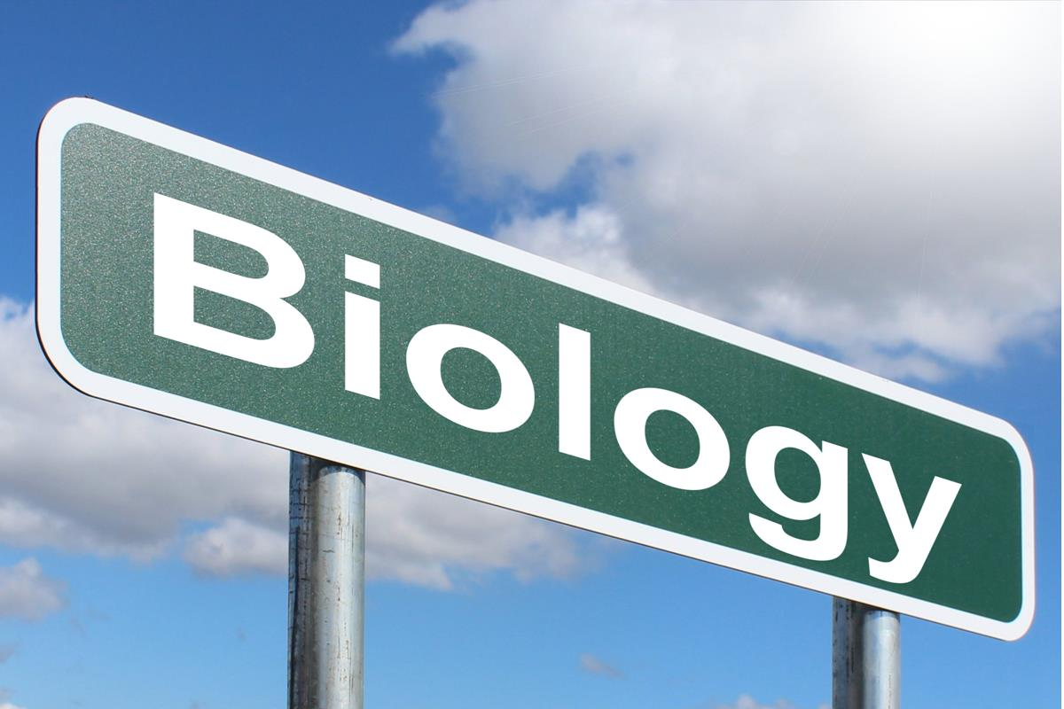 Best Zoology Coaching Institute in Jalandhar